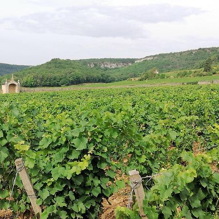 Gite Hautes Cotes De Nuits Curtil-Vergy Kültér fotó